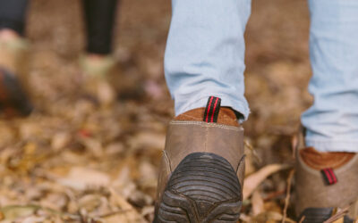 Wallfahrten nach Assisi & Rom